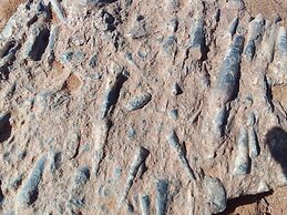 Titanic Iriki Hôtel Restaurant