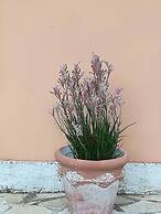 Corfu Golf Countryhouse