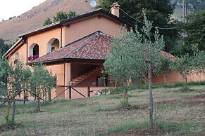 Agriturismo L'Ulivo