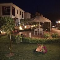 Delphin Rooms Sivota