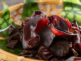 KAMENOI HOTEL TSUKUBASAN