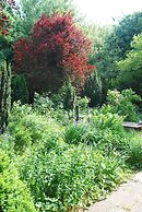 Hotel - Pension ALTES PASTORAT