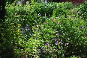 Hotel - Pension ALTES PASTORAT