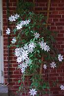 Hotel - Pension ALTES PASTORAT