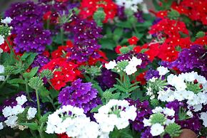 Hotel - Pension ALTES PASTORAT