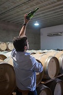 Pizzorno Lodge & Wine