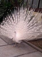 Hotel Boutique La Albertina