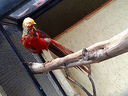 Hotel Boutique La Albertina