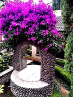 Hotel Boutique La Albertina