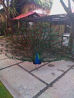 Hotel Boutique La Albertina