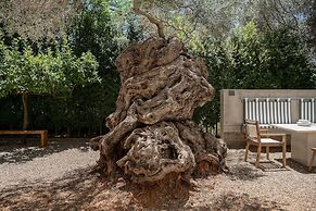 Villa 7 Masterwork Contemporary