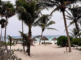 BT Live Tulum located at the party zone