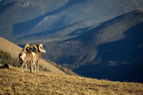 Wild Flower Ev#3197 2 Bedroom Condo by RedAwning