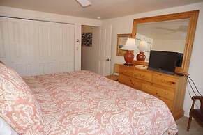 Great Location 1 Block From Gondola!!! - Outstanding Views Of Ajax 3 B