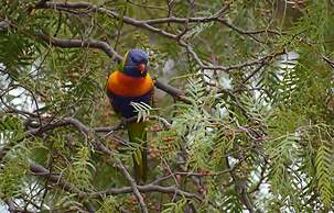Emu Bay Holiday Homes