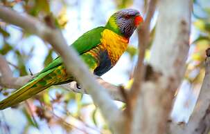 Emu Bay Holiday Homes
