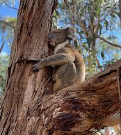 Emu Bay Holiday Homes