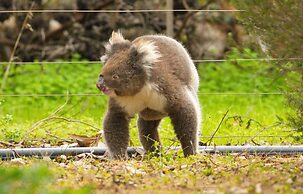 Emu Bay Holiday Homes