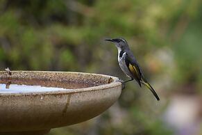Emu Bay Holiday Homes