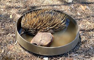 Emu Bay Holiday Homes