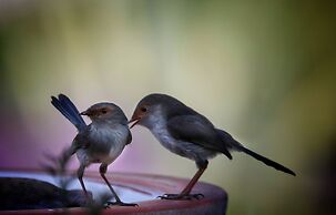 Emu Bay Holiday Homes