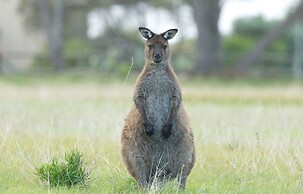Emu Bay Holiday Homes