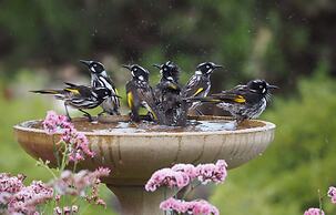 Emu Bay Holiday Homes