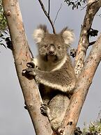 Emu Bay Holiday Homes