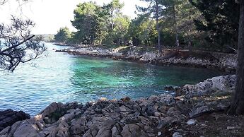 Apartment Blumen Oase