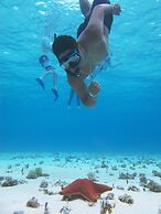 Hotel Villas Colibrí Suites and Bungalows.