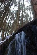 Ferienwohnungen Wiesenhof