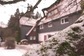 Ferienwohnungen Wiesenhof