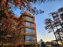 Hotel Pineview Shimla