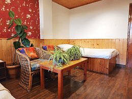 Hotel Pineview Shimla