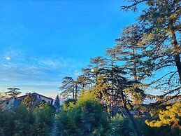 Hotel Pineview Shimla