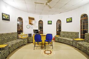 Jungle King Resort
