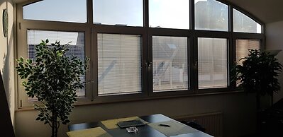 Sunny Penthouse in City Center