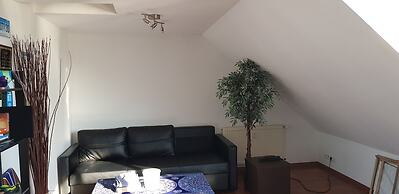 Sunny Penthouse in City Center