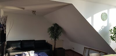 Sunny Penthouse in City Center