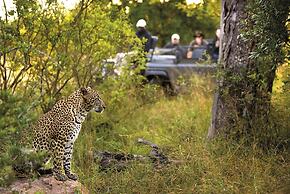 Lion Sands Ivory Lodge