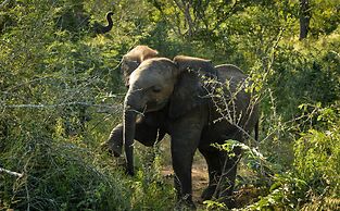 Lion Sands Ivory Lodge