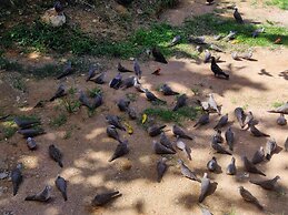 La Residence d'Almee