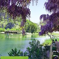 Dalyan Hotel Nish Caria