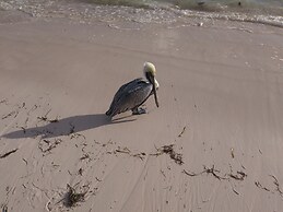 Share Mel Apartment Punta Cana Beach