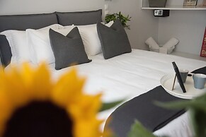 Living near Acropolis by Sylvia Staikou