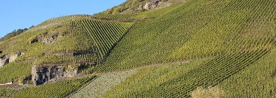 Weinvilla Heinrichshof