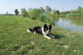 Appartamento Ca' Silis n. 7