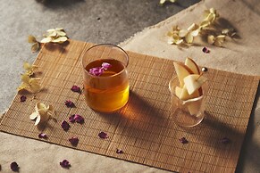 Theater Zzz - Hostel