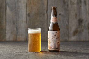 Theater Zzz - Hostel