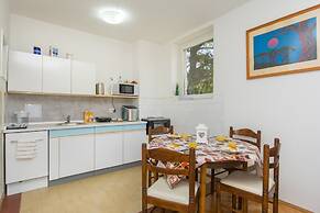 Mellow Yellow Dubrovnik